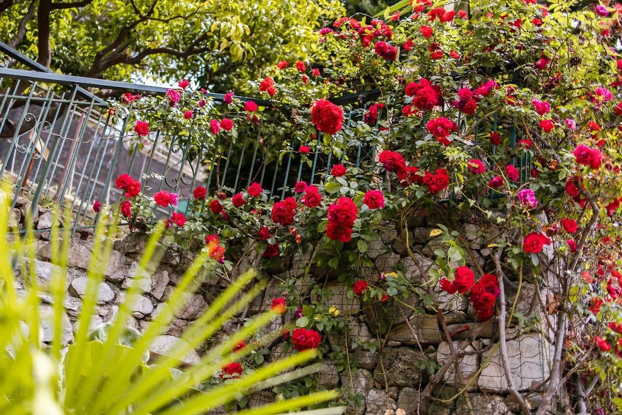 Ascheri Country House - Grimaldi, Ventimiglia